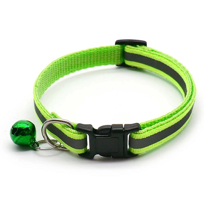 collier réfléchissant chat nocturne vert