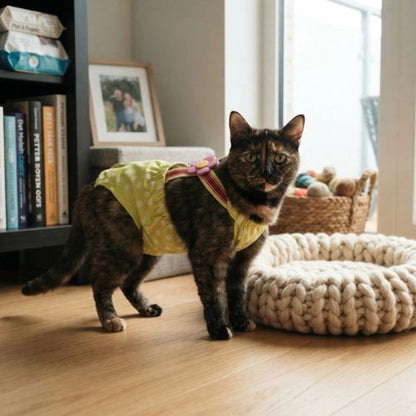 couche pour chat protection