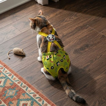 couche pour chat incontinence