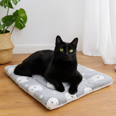 coussin pour chat frileux gris au salon