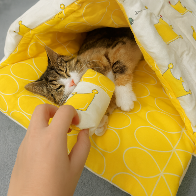 couvertuer chat lit douillet chaton se reposant