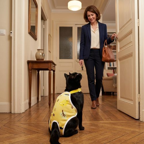 culotte pour chat ajustable
