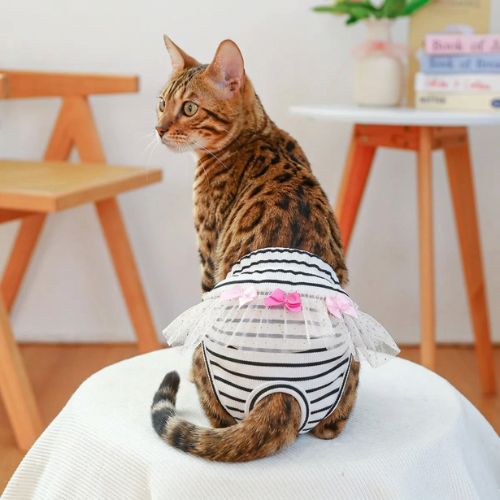 culotte pour chat dentelle