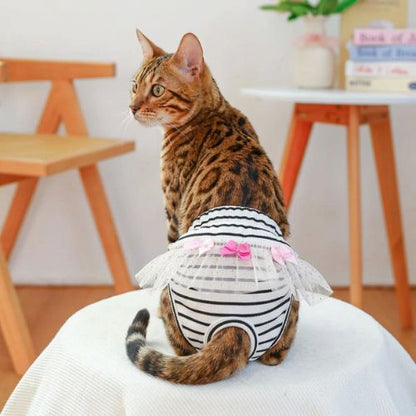 culotte pour chat dentelle