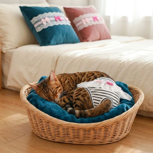 culotte pour chat confortable