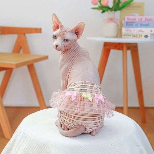 culotte pour chat élégante