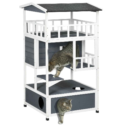 enclos pour chat catio condochat deux chats
