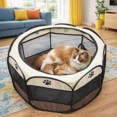 enclos pour chat pour maternité