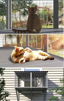 enclos sécurisé pour chat catio peekaboocat vision 360