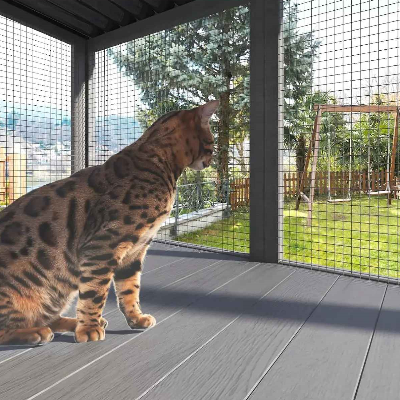 enclos sécurisé pour chat catio peekaboocat vue oiseaux