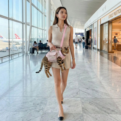 Gilet harnais chat Plaid poignée et bandoulière