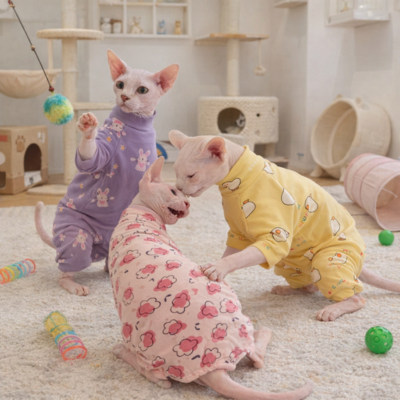 habits pour chat sphynx joueurs