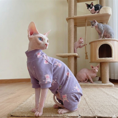 habits pour chat amusant lapins