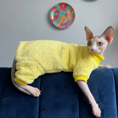 habits pour chats jaune confortable