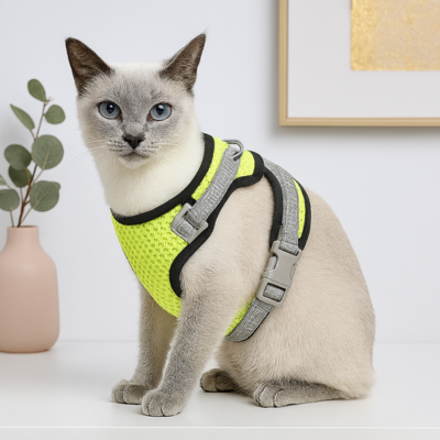harnais anti-fuite pour chat Chic et laisse jaune sur chat