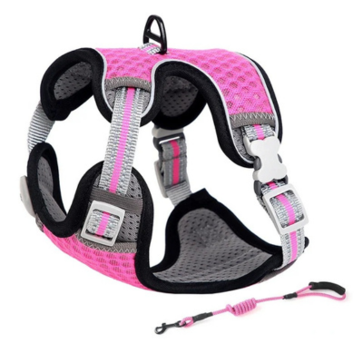 harnais anti-fuite pour chat Chic et laisse rose