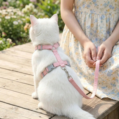 harnais anti-fuite pour chat Pastel bleu sur chat vue de dos