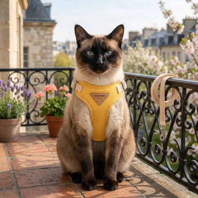 harnais anti-fuite pour chat Pastel jaune sur chat