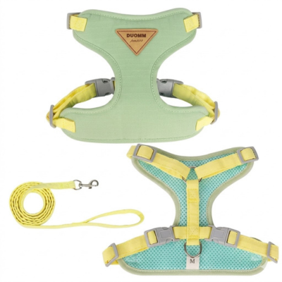 harnais anti-fuite pour chat Pastel vert