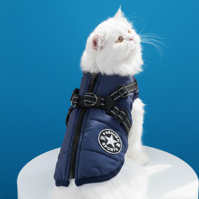 harnais avec manteau marine sur chat blanc