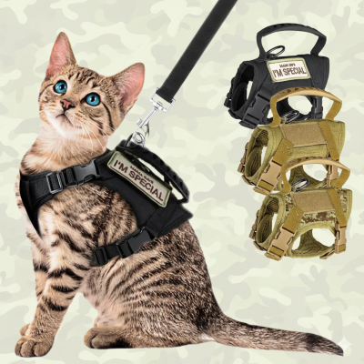 harnais et laisse pour chat trois couleurs