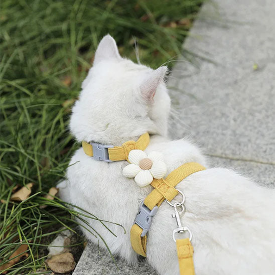 harnais chat FeliSecur jaune