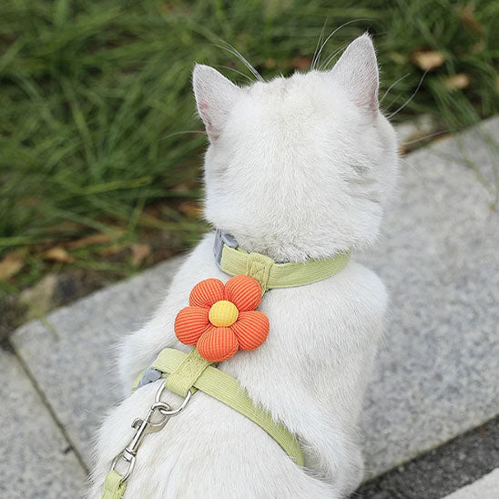 harnais chat FeliSecur vert