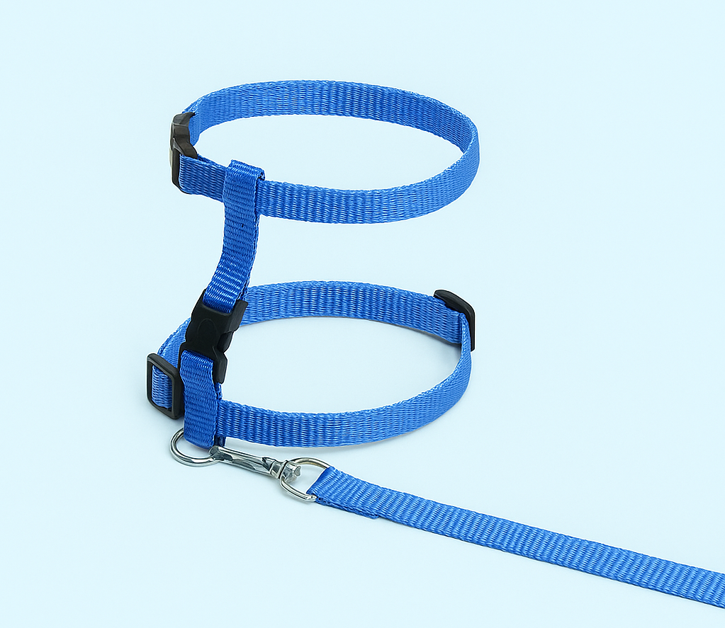 harnais chat KitCat variante bleu