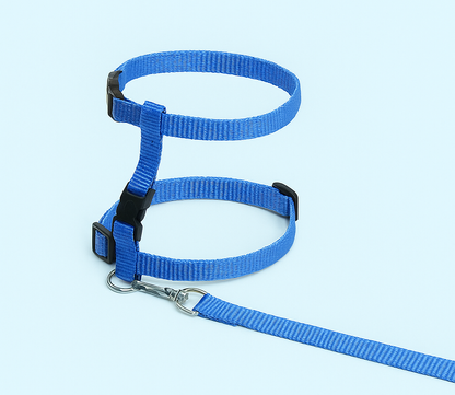 harnais chat KitCat variante bleu