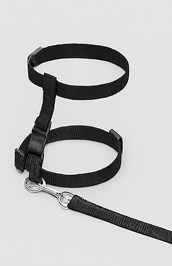 harnais chat KitCat variante noir