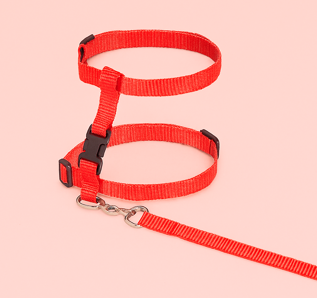 harnais chat KitCat variante rouge