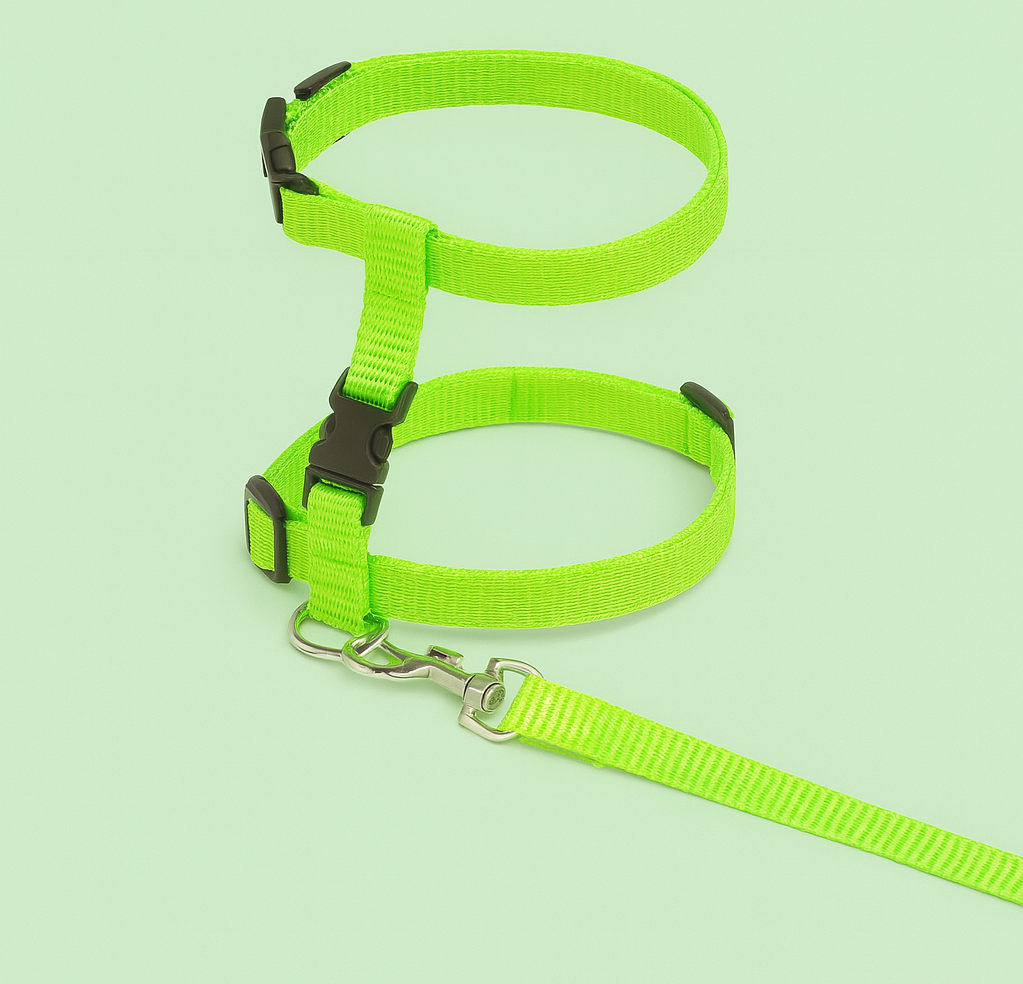 harnais chat KitCat variante vert