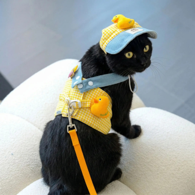harnais chat Ludique canard vue de dos