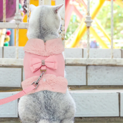 harnais chat avec laisse rose sur chat gris