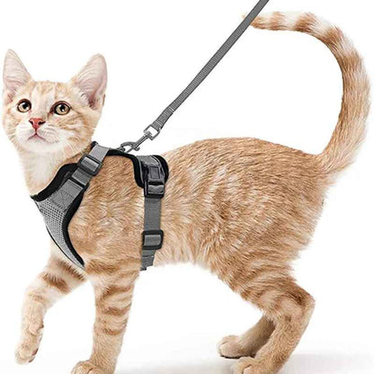 Harnais pour chat ControlCat et sa laisse assortie
