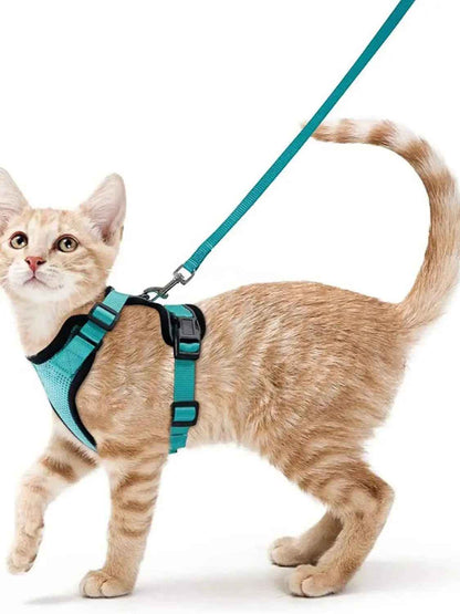 Harnais pour chat ControlCat et sa laisse assortie