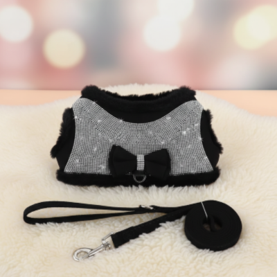 harnais pour chat strass noir