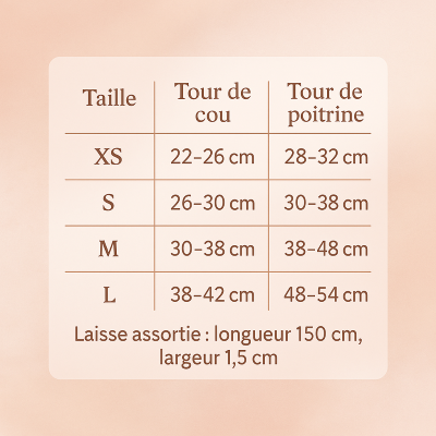 harnais pour chat boucle et strass tailles