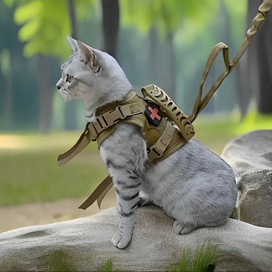 harnais pour chat chattactique