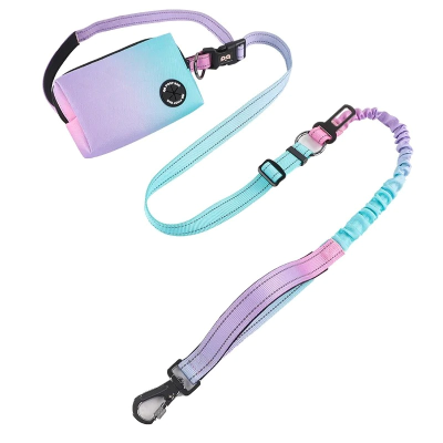 laisse pour chat bleu et mauve