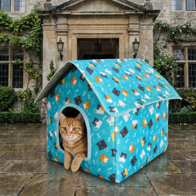 maison pour chat design sous la pluie