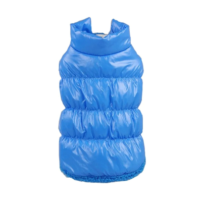 manteau hiver chat bleu variante