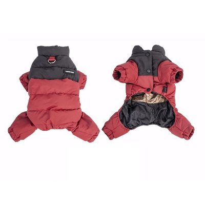 manteau hiver chat rouge