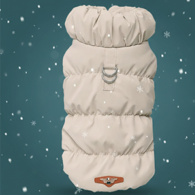 manteau hiver pour chat vue de dos