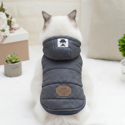 manteau pour chat extérieur gris sur chat