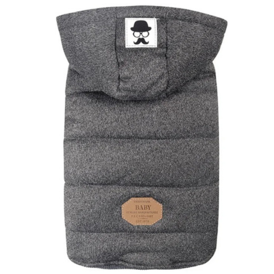 manteau pour chat extérieur gris