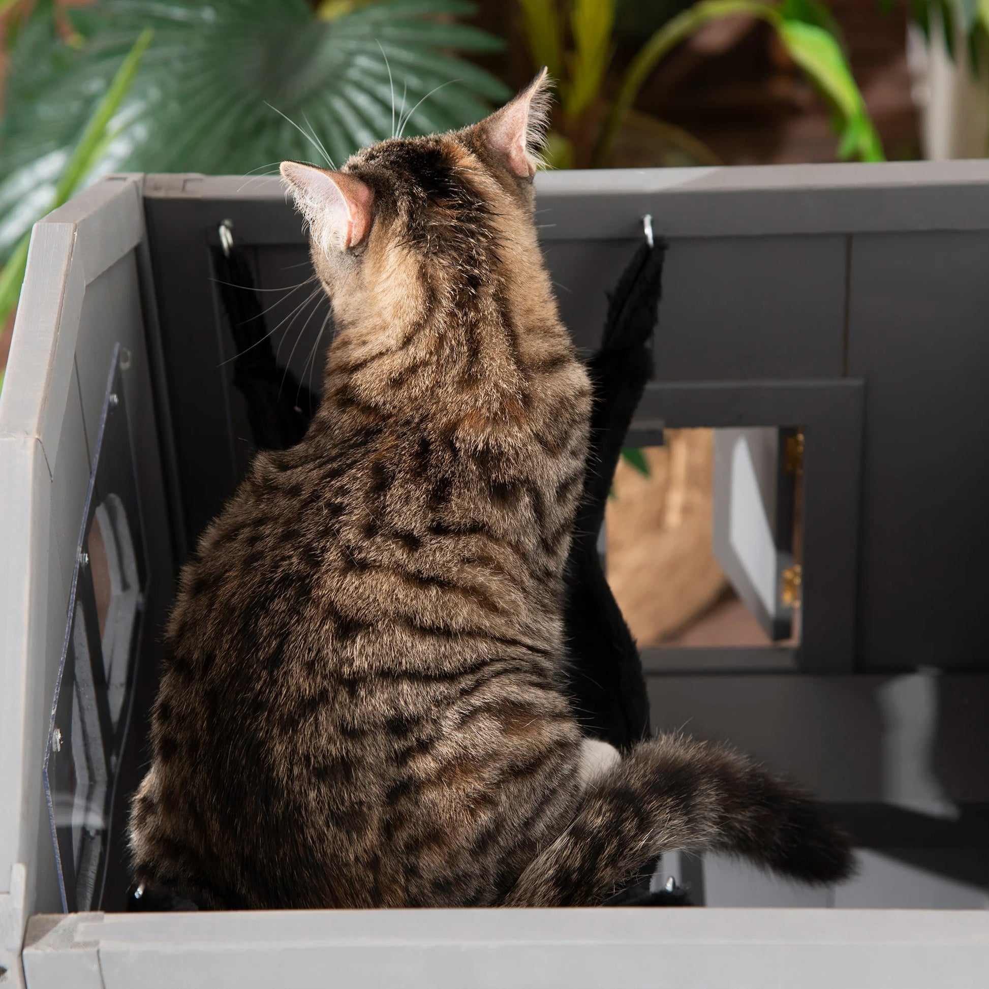 niche pour chat maisonnette chat coucher