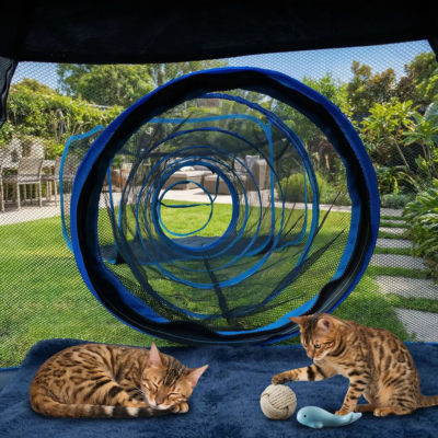 parc pour chats extérieur tunnel vue intérieure
