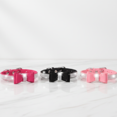 parure pour chat couleurs disponibles