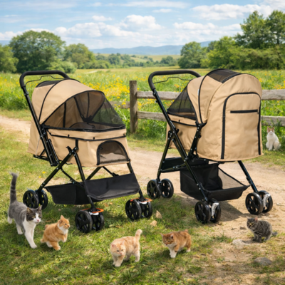 poussette chat terrain campagne